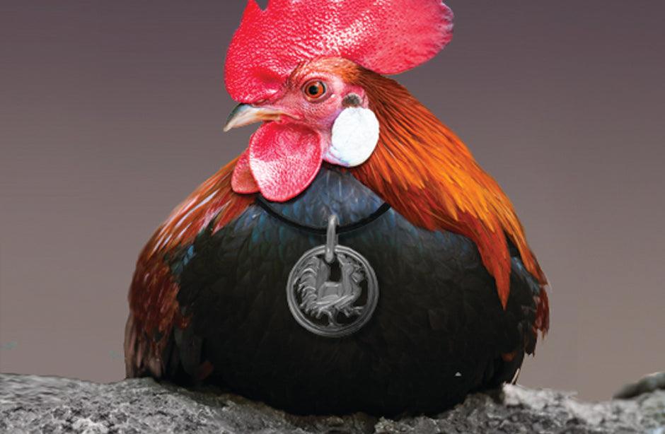 Year of the Rooster - Annika Rutlin