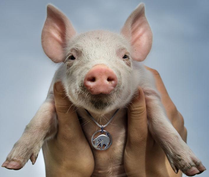 Year of the Pig - Annika Rutlin