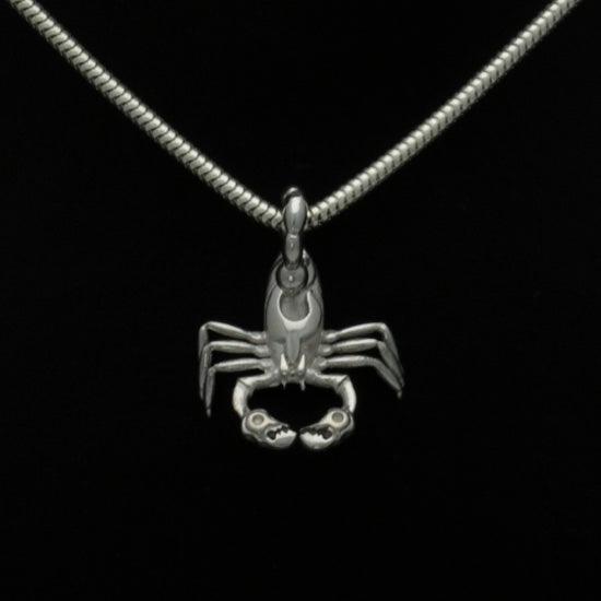 Wild World Scorpion pendant on snake chain SCP2 - Annika Rutlin